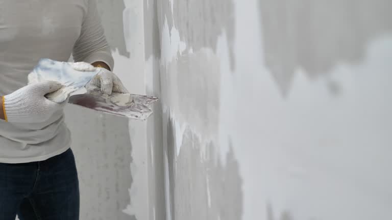 Best Fire-Damaged Drywall Repair  in Sneads Ferry, NC